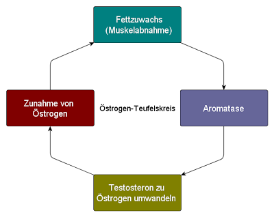 HIV Überlebensdauer Viren - Herpotherm - der elektrische